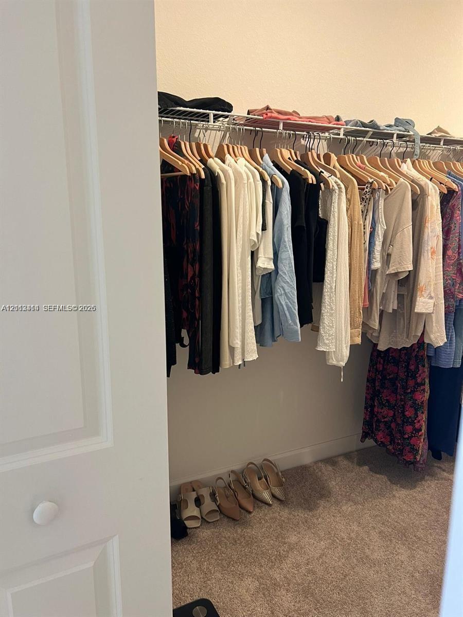 Reach-in closet featuring wire shelving and wall-to-wall carpeting