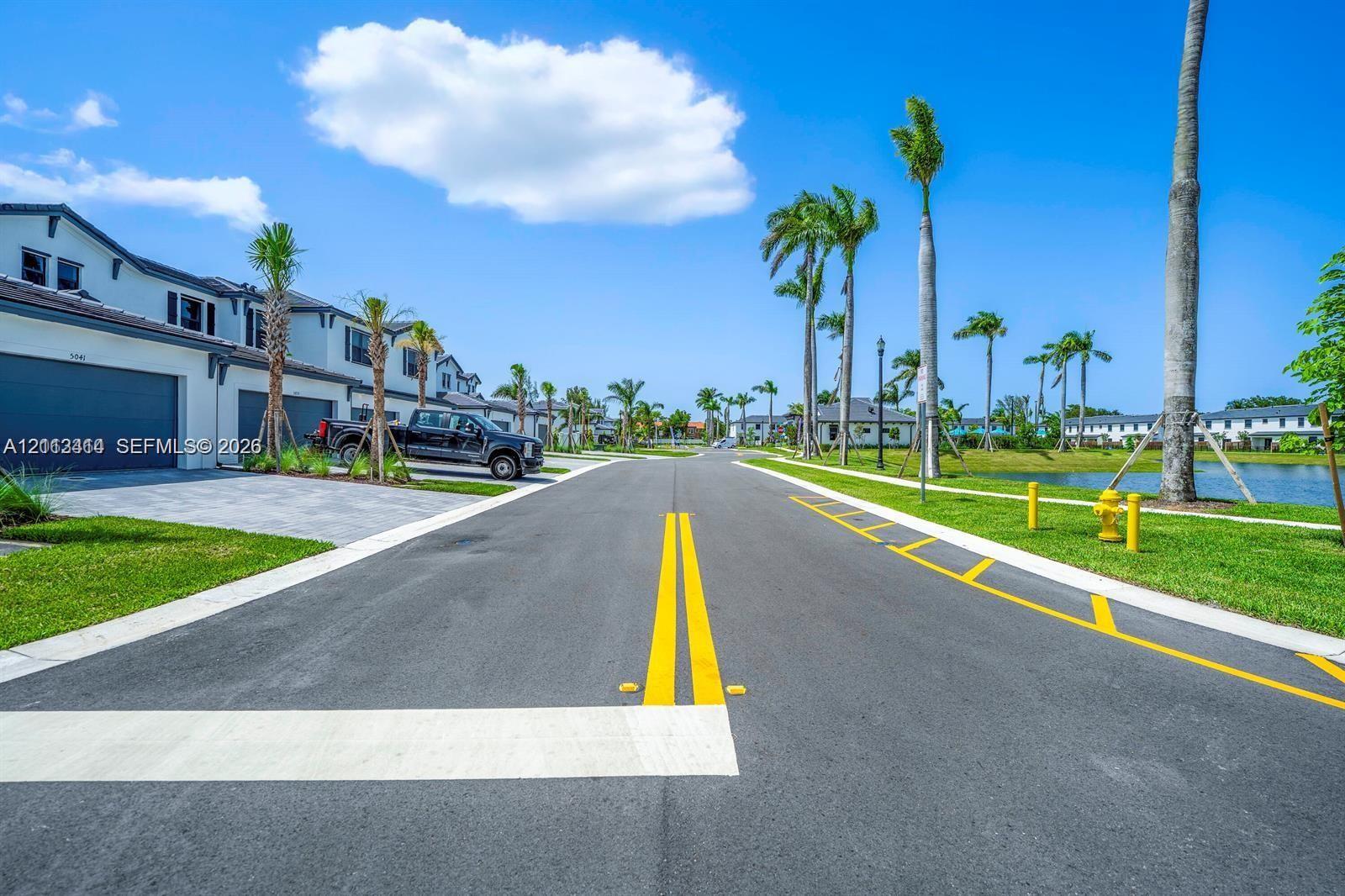 Paved street featuring curb-and-gutter infrastructure, manicured green space, and mature palm trees with a water feature