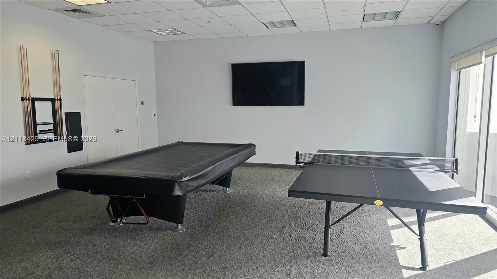 Spacious room featuring a drop ceiling, wall-to-wall carpeting, and large floor-to-ceiling windows