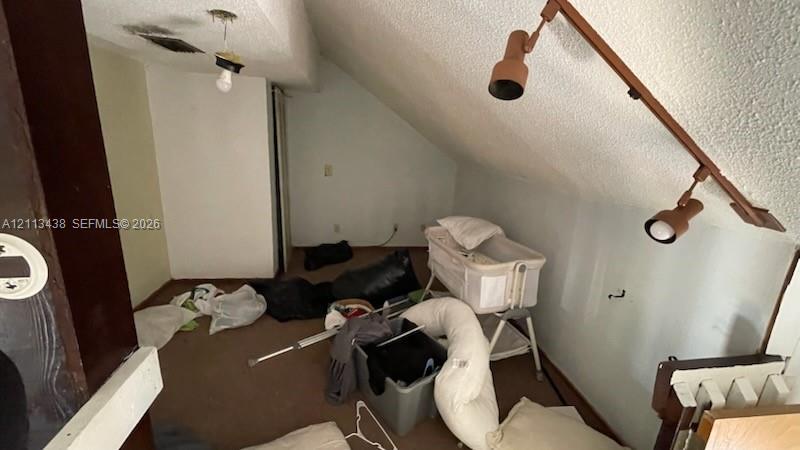 Attic space featuring a sloped ceiling, brown carpeting, and a built-in multi-head adjustable track lighting fixture