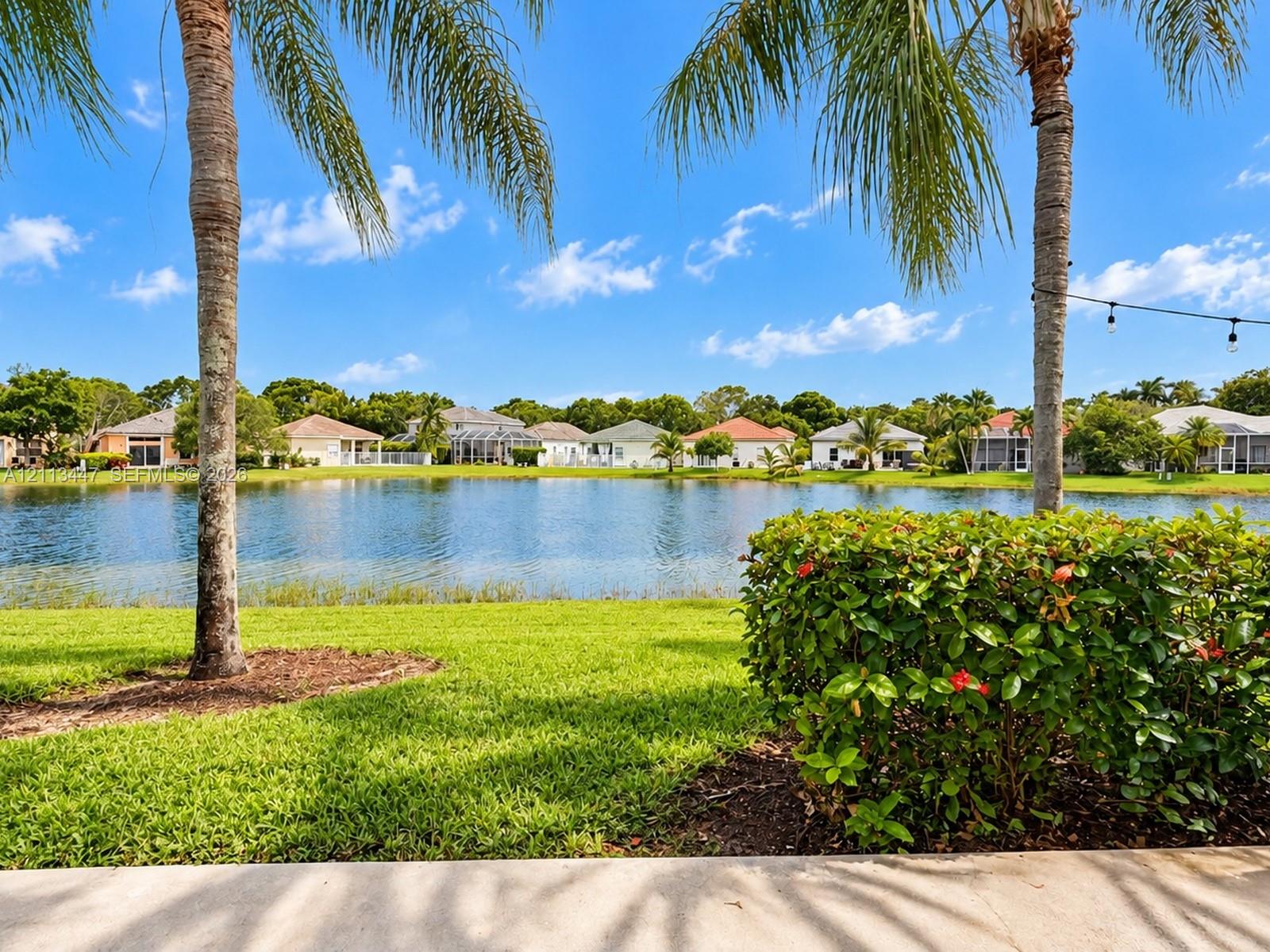 Waterfront backyard featuring a manicured lawn, established palm trees, mature shrubbery, and a concrete patio