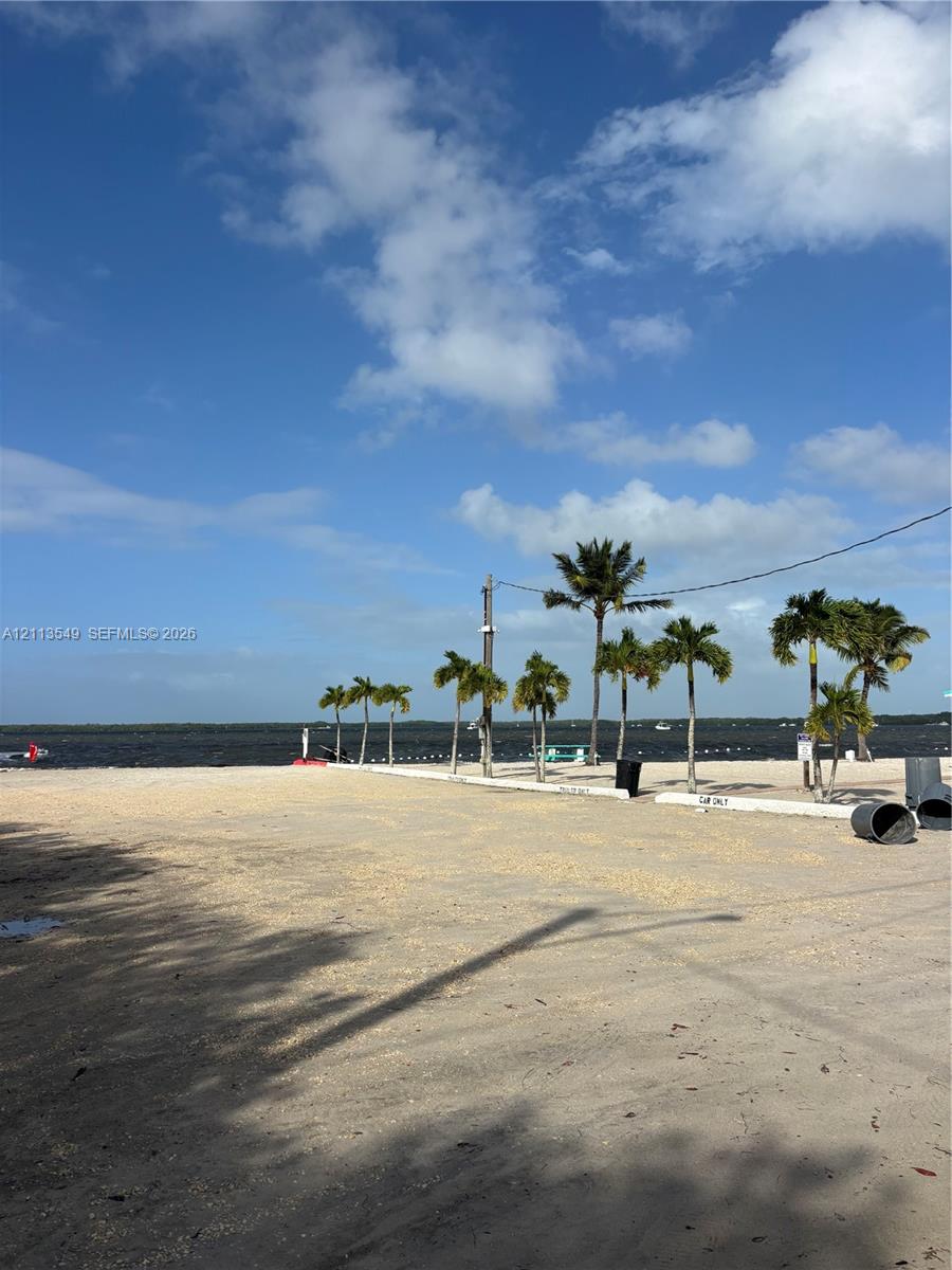 Sandy waterfront area featuring palm trees and direct water access