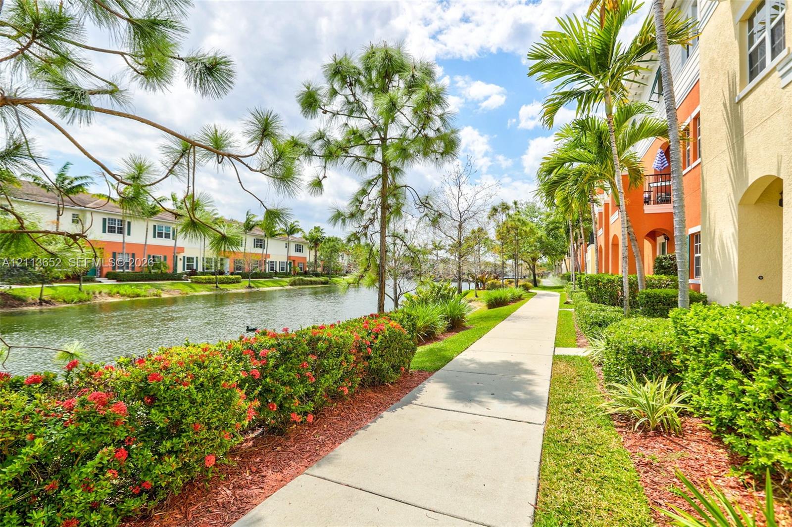 Concrete walkway lined with manicured hedges, mature palm trees, and native landscaping along a waterway