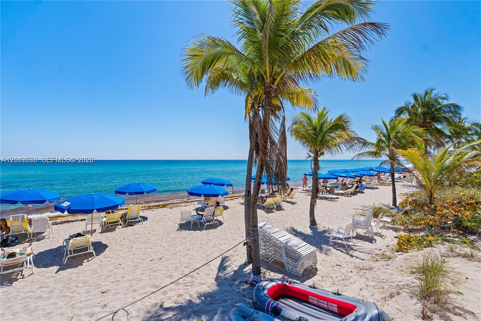 Sandy beachfront property featuring mature palm trees and direct ocean access