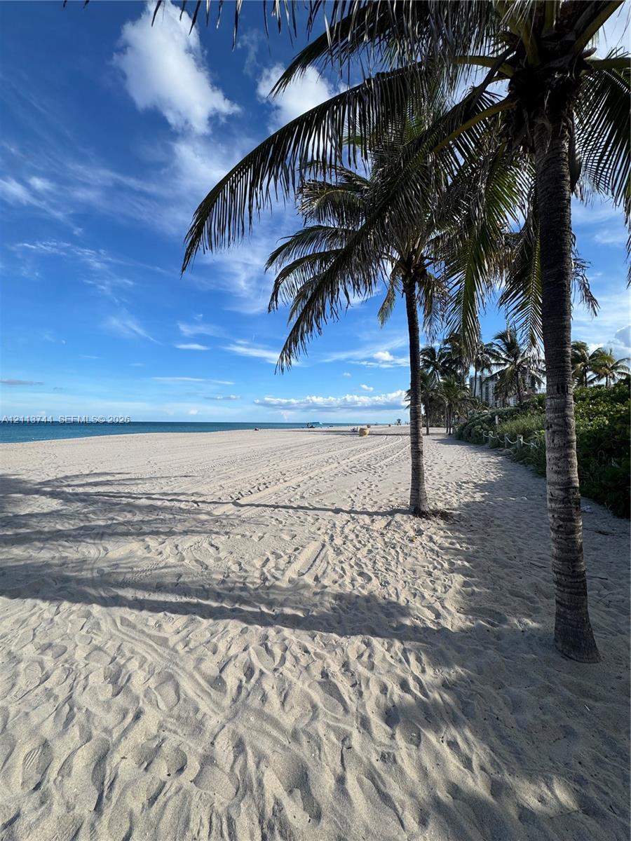 Sandy coastline featuring mature palm trees and direct ocean frontage