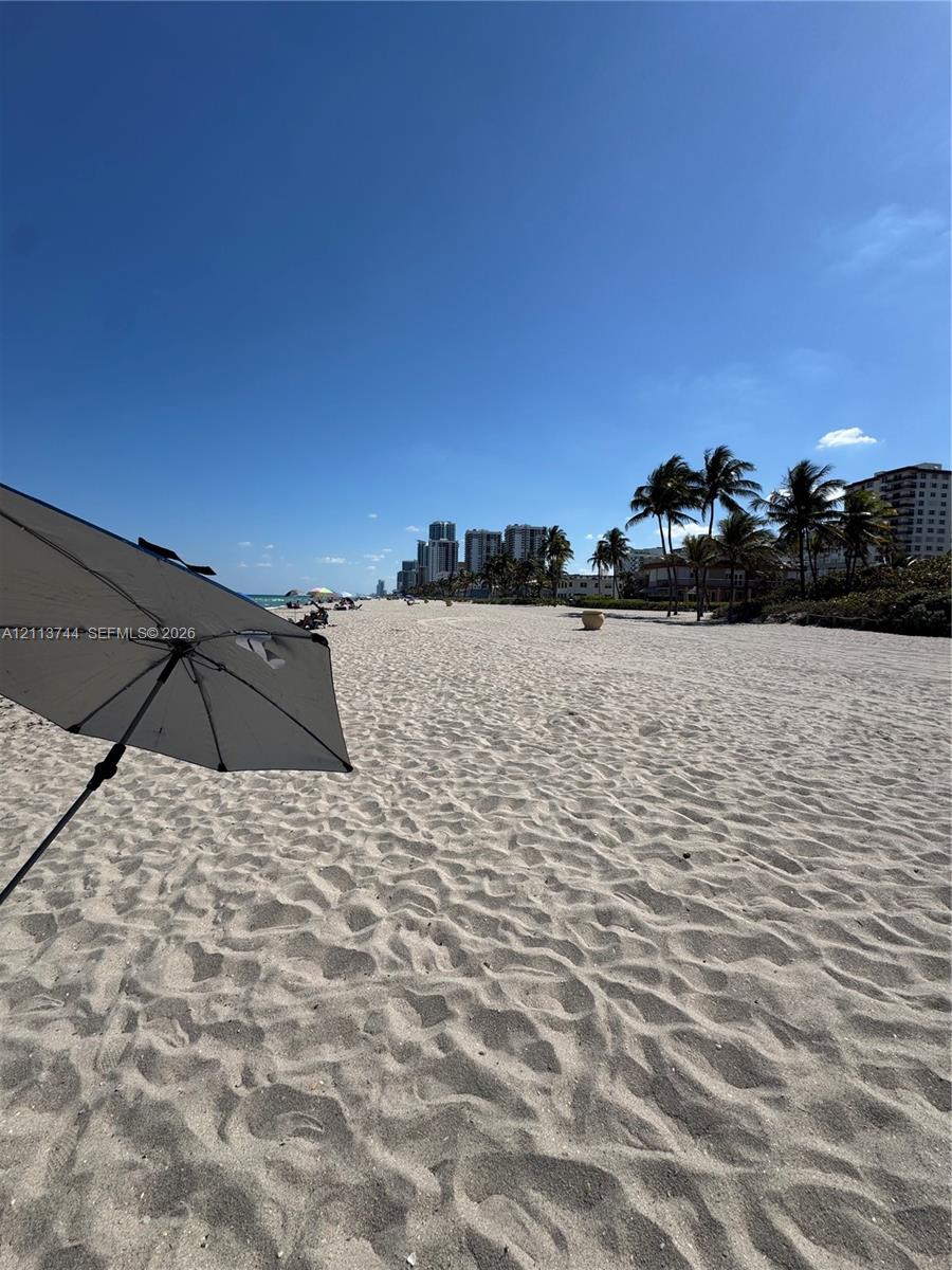 Sandy coastline featuring mature palm trees and expansive horizons