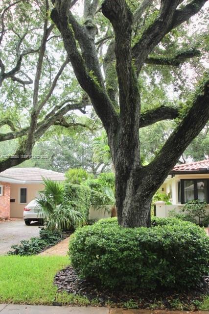 Mature canopy trees, manicured shrubbery, landscaped garden beds, and gravel driveway