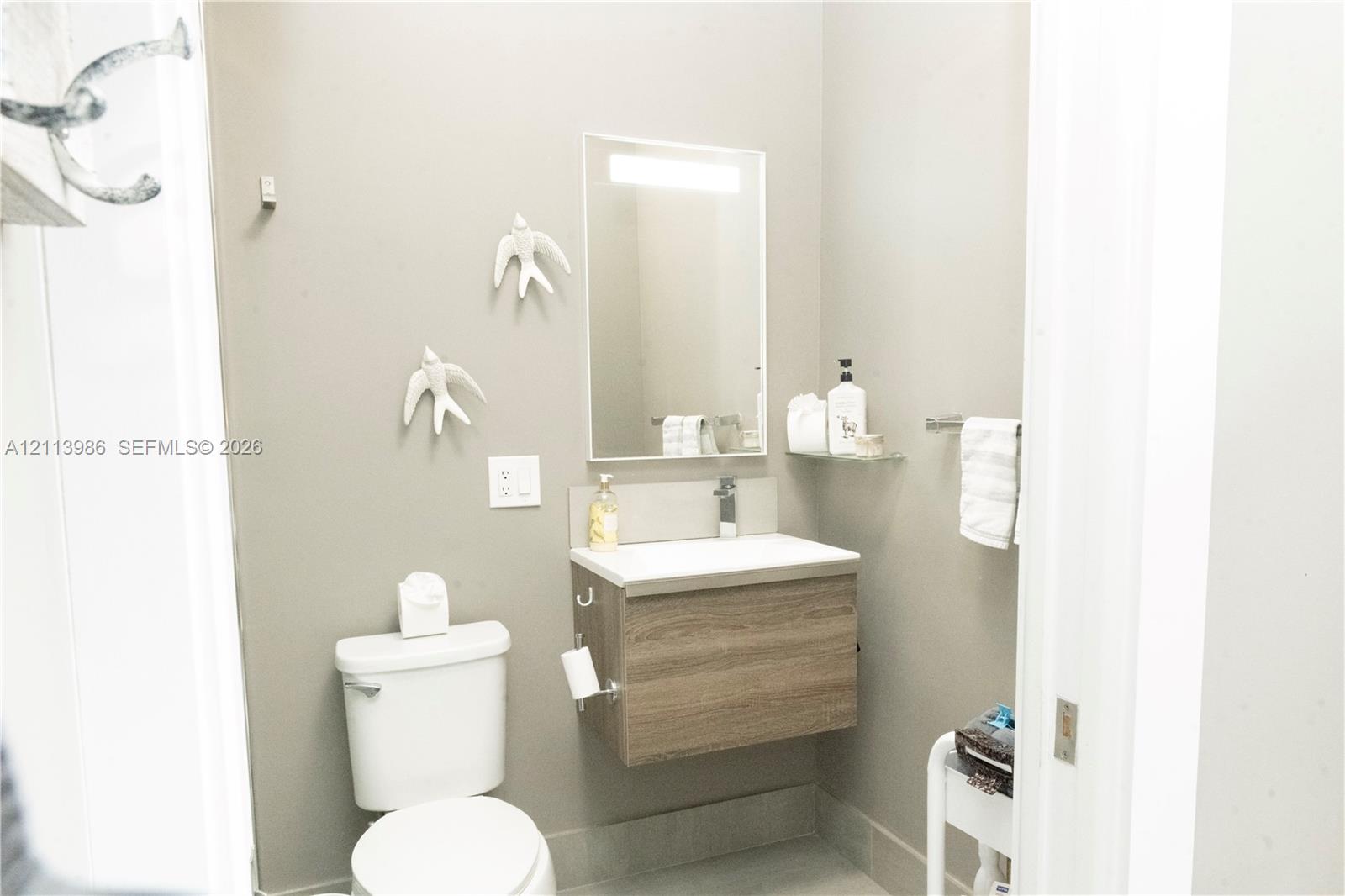 Floating vanity with wood-finish cabinetry, solid-surface countertop, rectangular mirror with integrated lighting, glass shelving, and standard flush toilet