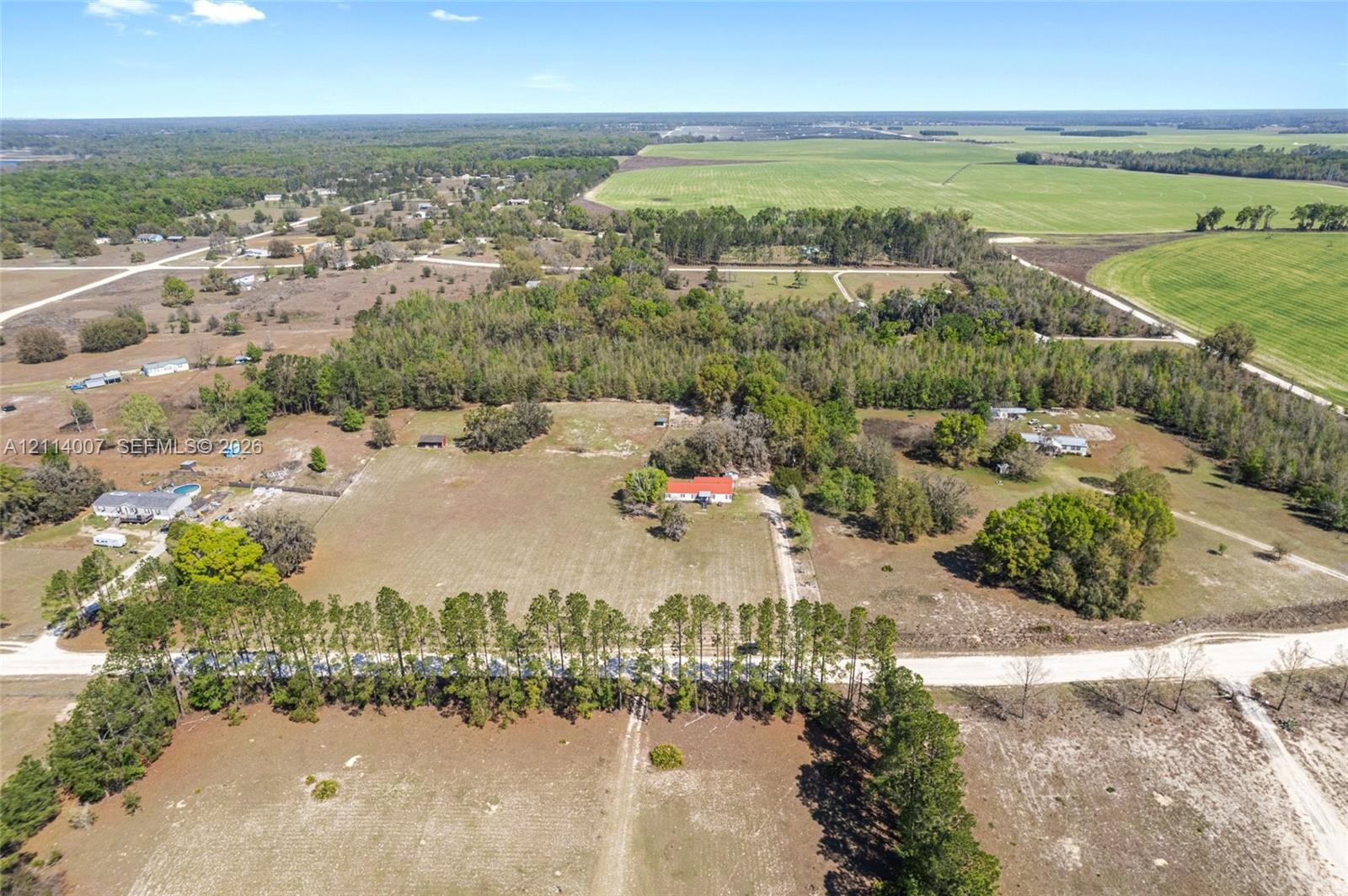 Aerial perspective featuring expansive acreage, mature pine tree clusters, cleared pasture land, and a single-story structure with a metal roof