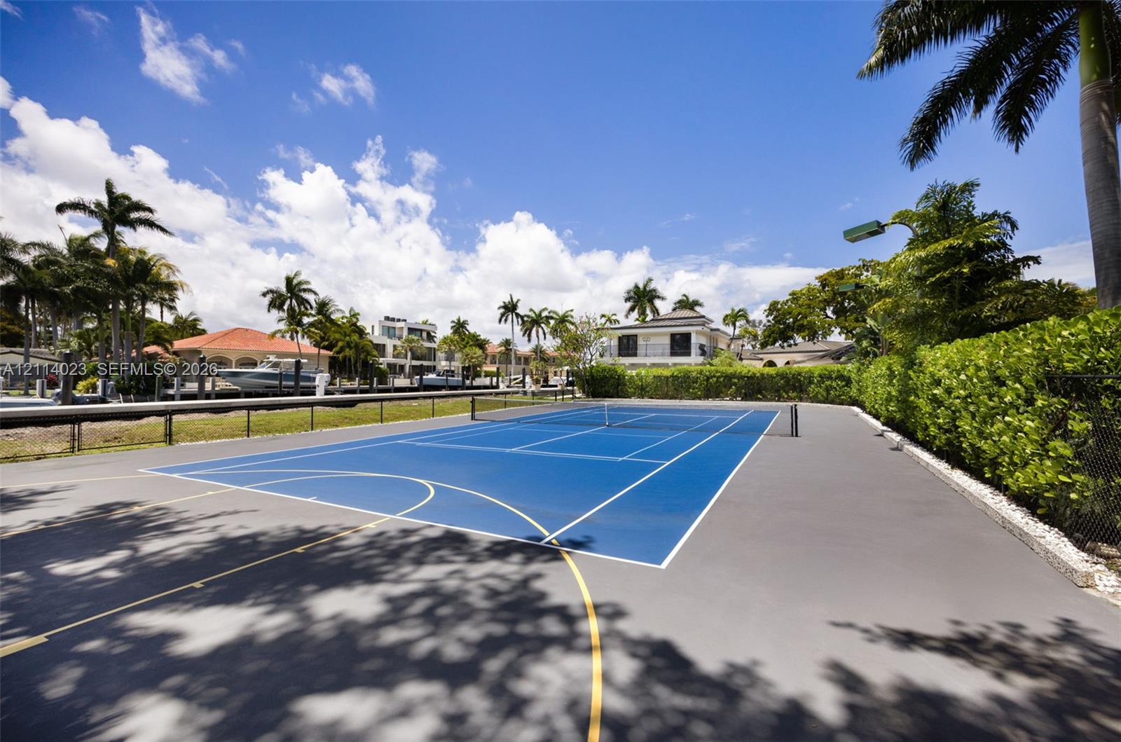 Multi-use sports court with a blue surface, black perimeter fencing, and surrounding hedge landscaping