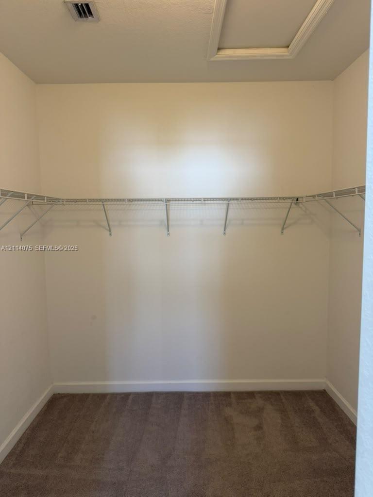 Walk-in closet featuring neutral carpeting and built-in wire shelving