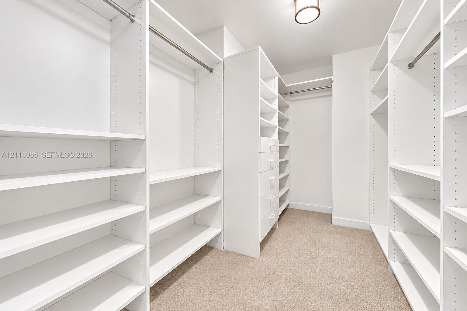 Walk-in closet featuring white custom built-in shelving, integrated hanging rods, a column of pull-out drawers, and neutral carpeting
