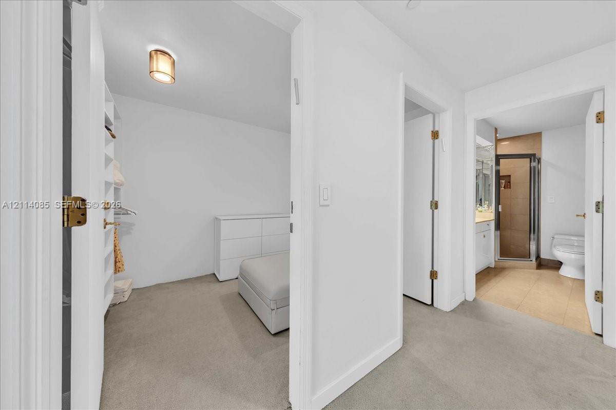 Walk-in closet featuring built-in shelving, flush-mount lighting, and neutral carpeting, with a separate bathroom showcasing a glass-enclosed shower and tile flooring