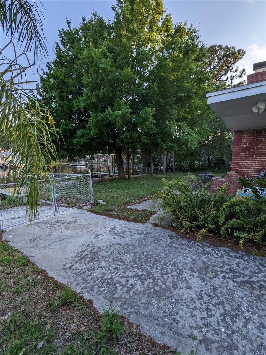 Back yard