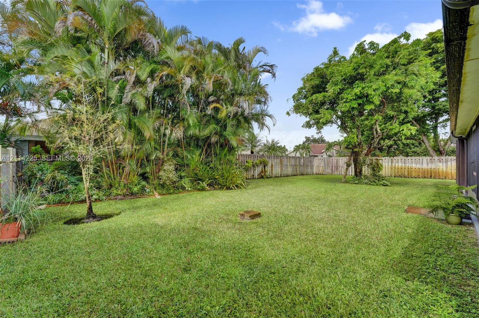 Expansive backyard featuring a lush grass lawn, mature palm trees, established shade trees, and perimeter wood fencing