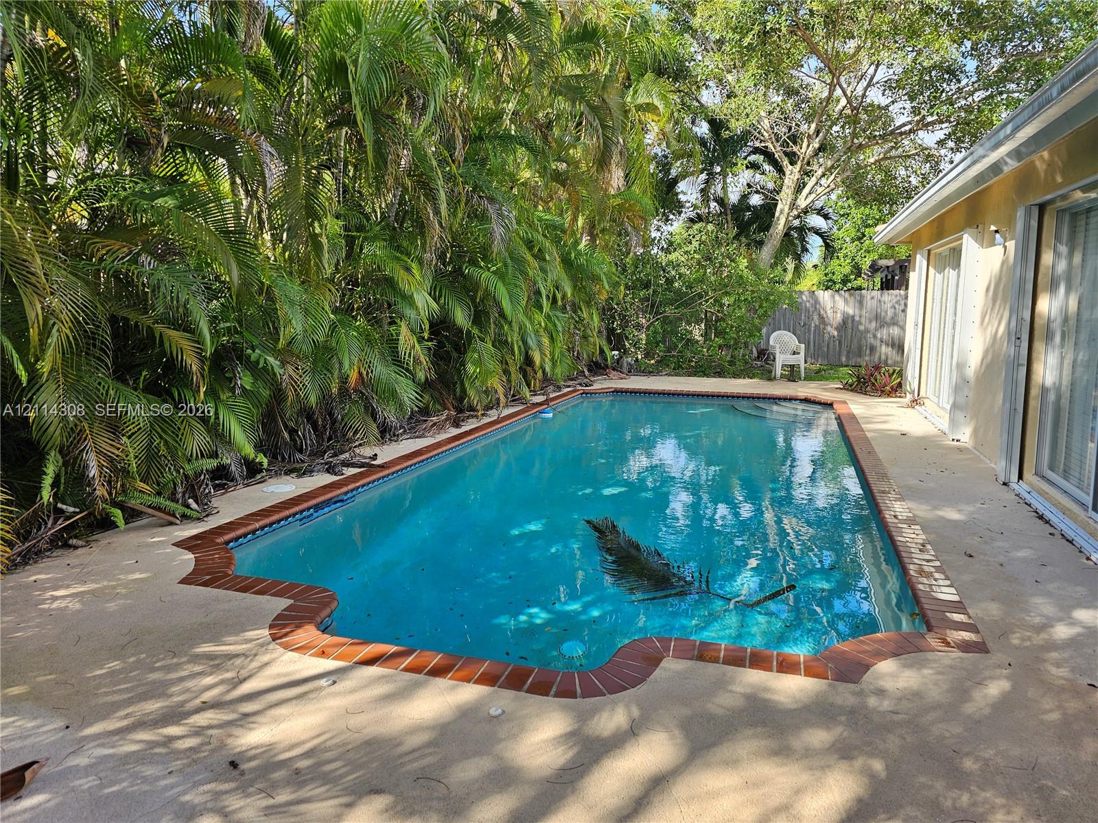 In-ground swimming pool with a brick-trimmed border and concrete patio surround, shaded by mature palms and foliage