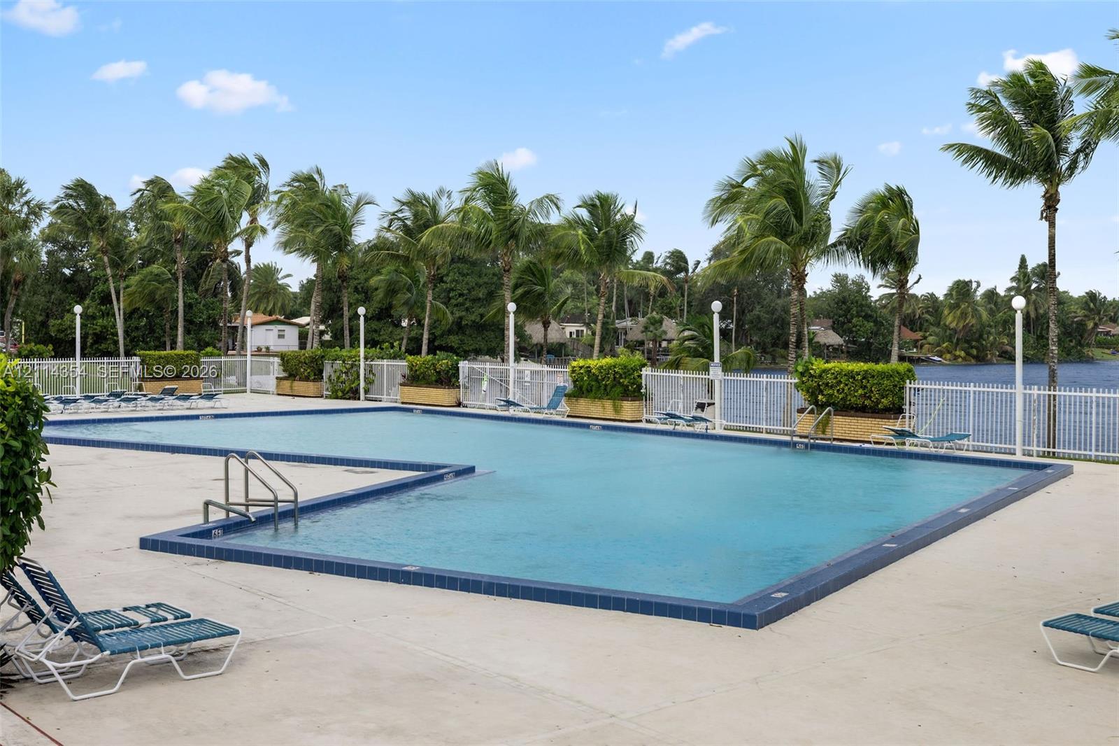 Large swimming pool featuring tile coping, a concrete deck, metal perimeter fencing, and mature palm trees