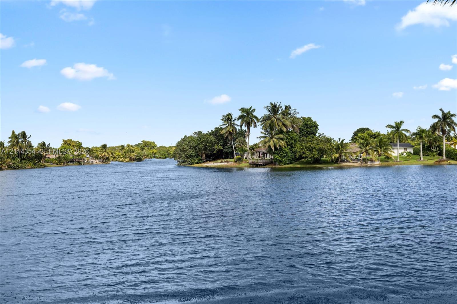 Waterfront property featuring a canal expanse, mature palm trees, and native vegetation
