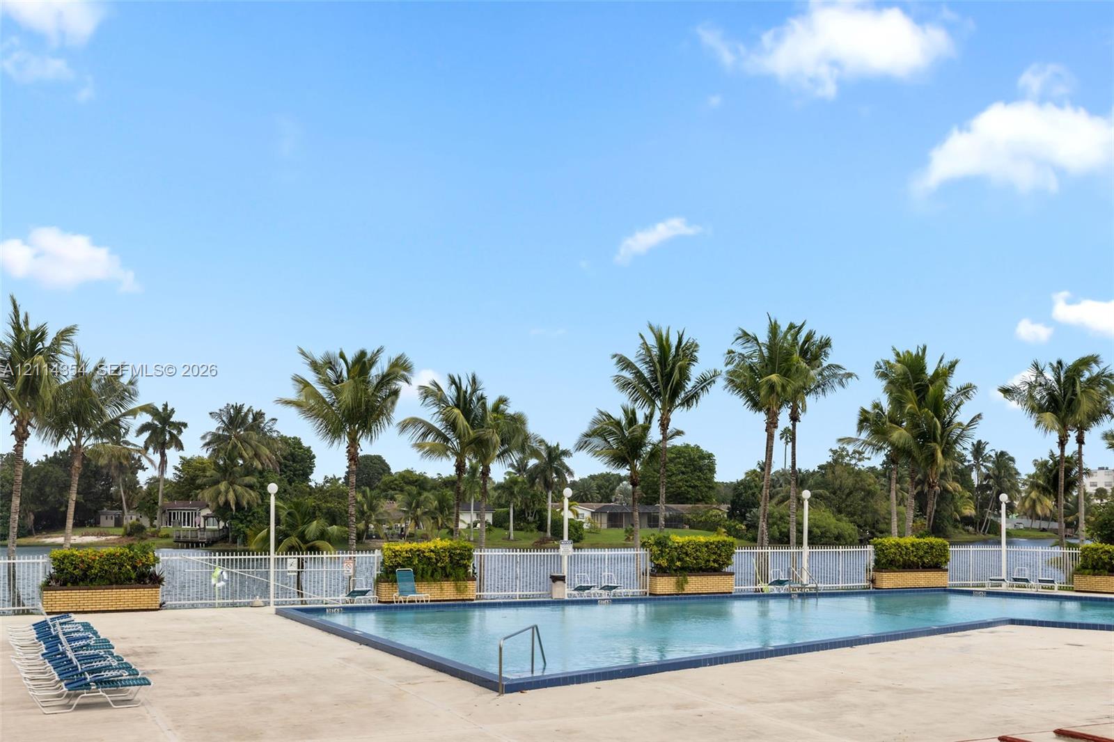 Swimming pool with tile surround, white metal perimeter fencing, mature palm trees, and waterfront placement