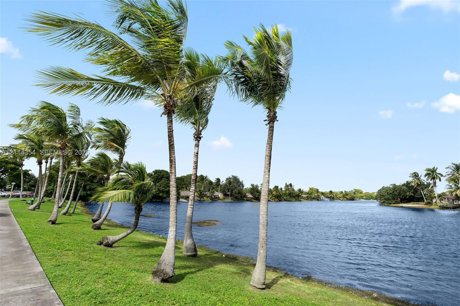 Waterfront grounds featuring a concrete walking path, mature palm trees, and manicured turf