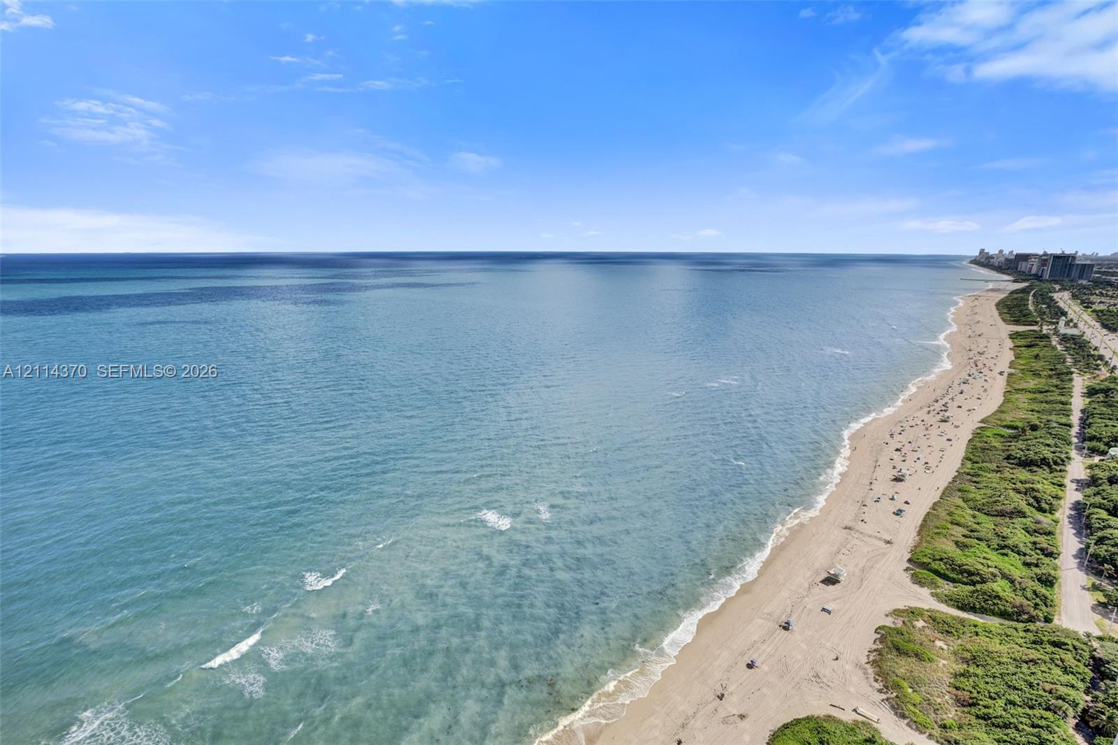 Aerial perspective showcasing an expansive shoreline, sandy beach, and proximity to coastal vegetation