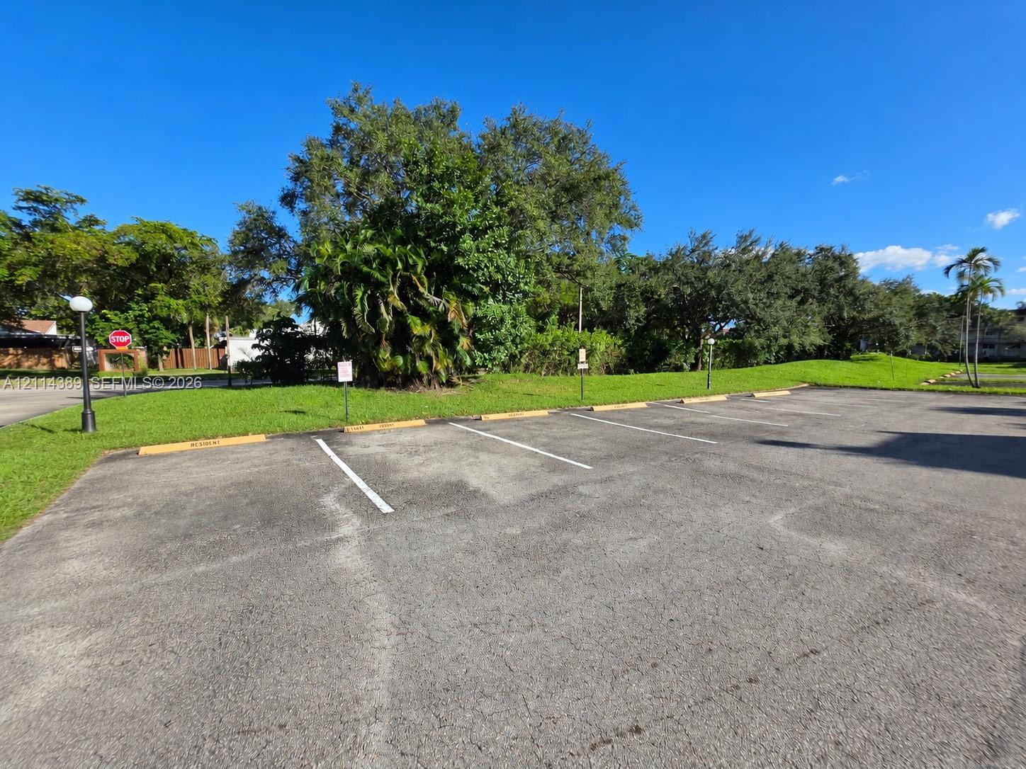 Asphalt parking area featuring marked spaces, concrete wheel stops, and surrounding mature landscaping