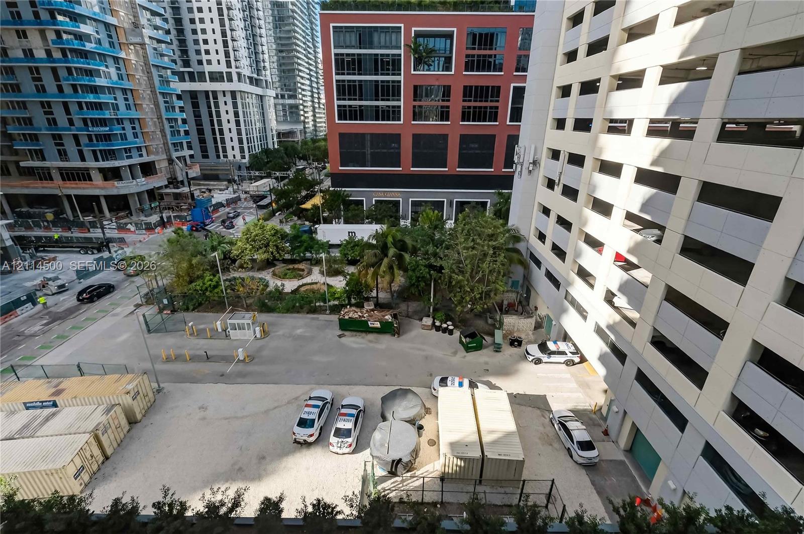 Urban outdoor space featuring mature palm trees and landscaped green areas