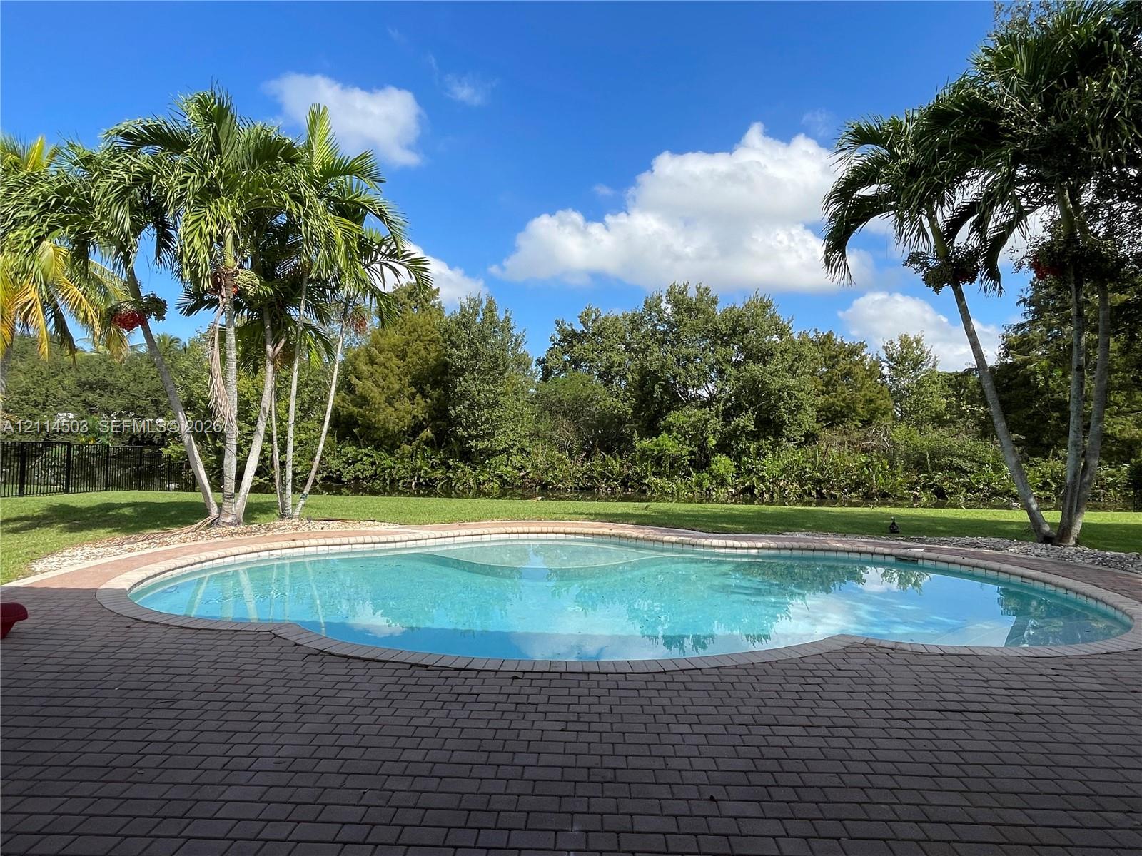 Freeform swimming pool with brick paver decking, surrounding palm trees, and manicured lawn