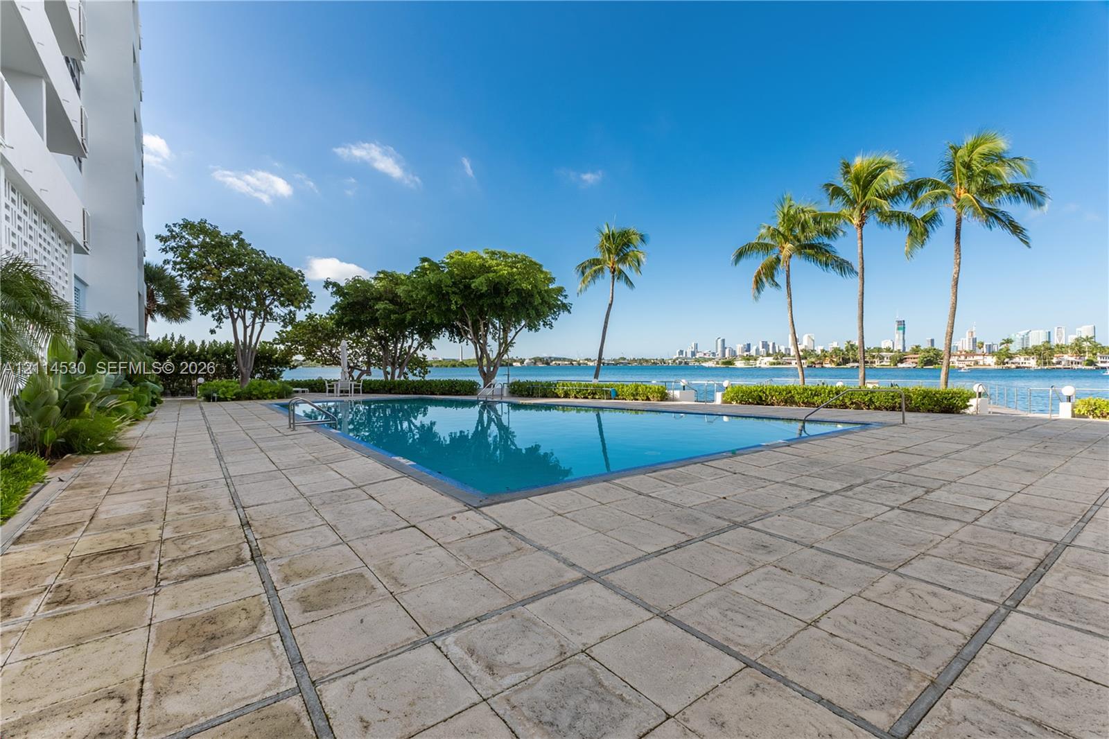 Swimming pool featuring a paved deck, surrounding mature landscaping, and palm trees