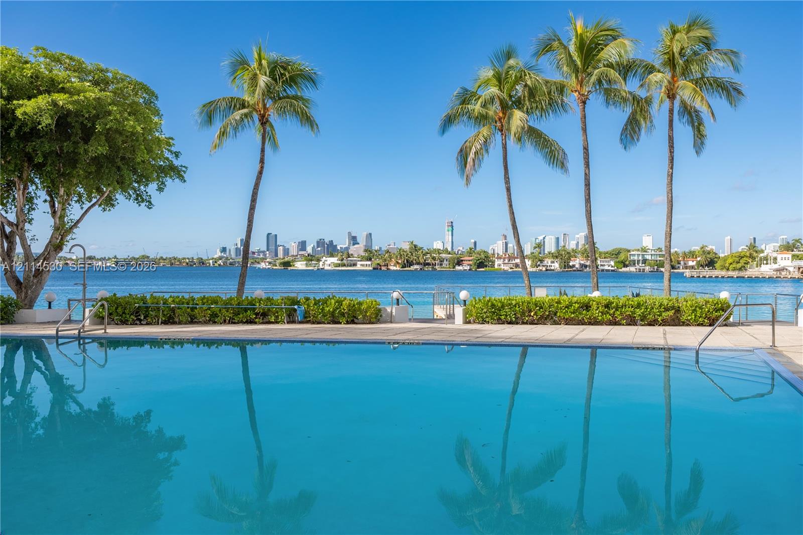 Swimming pool with paved surround, metal railings, mature palm trees, and waterfront perimeter