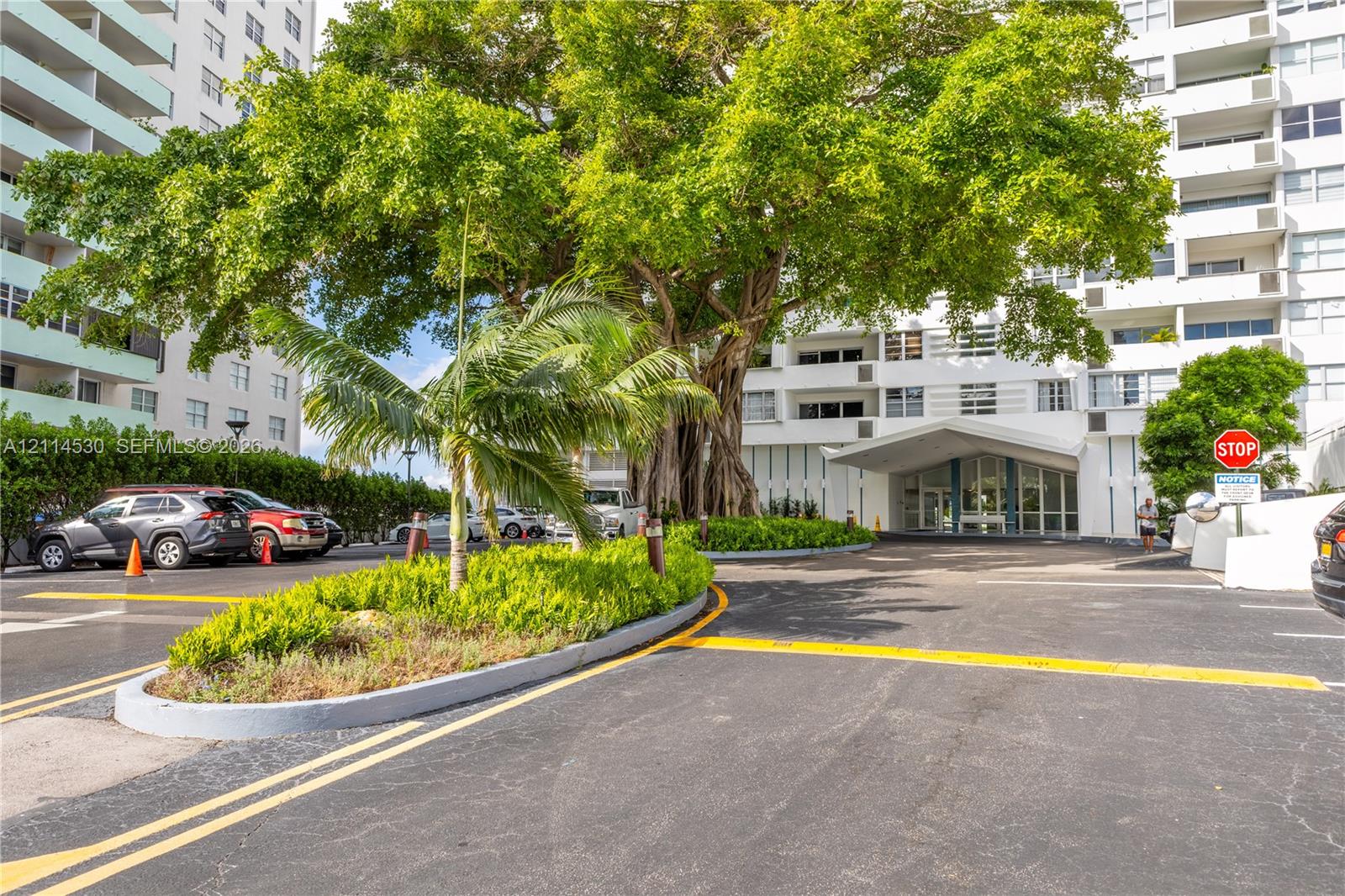 Exterior building facade featuring a cantilevered entryway canopy, mature Banyan tree, and landscaped islands