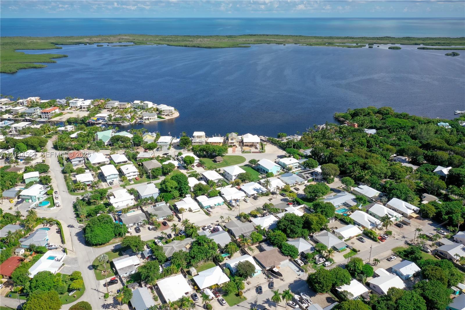 Aerial perspective featuring coastal waterfront location, extensive mature tree canopy, and dense residential neighborhood layout