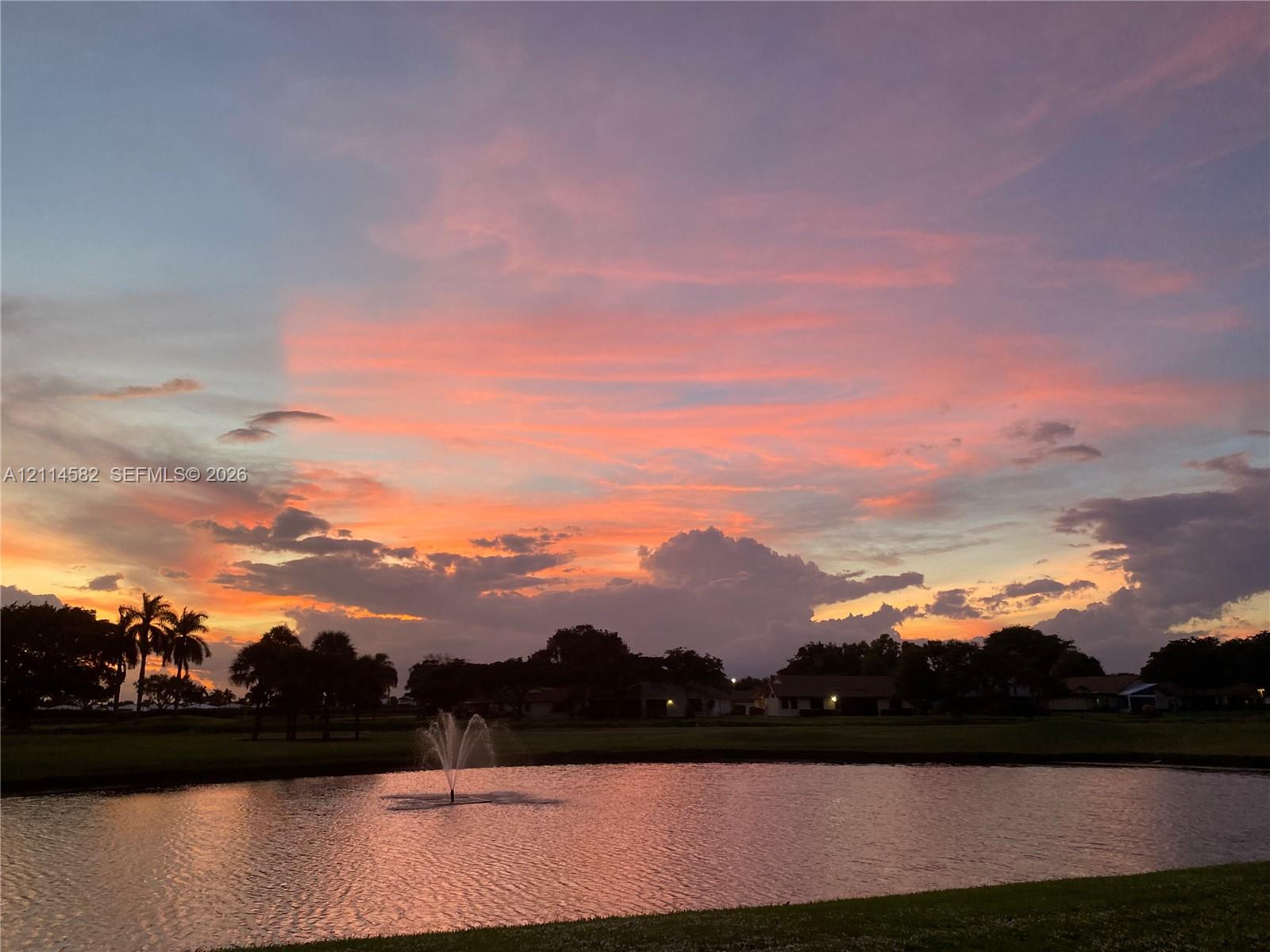 Water feature centered in a pond with a sunset sky backdrop and mature palm trees