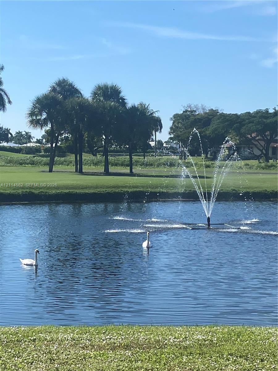 Water feature with central fountain, landscaped grounds, and manicured turf