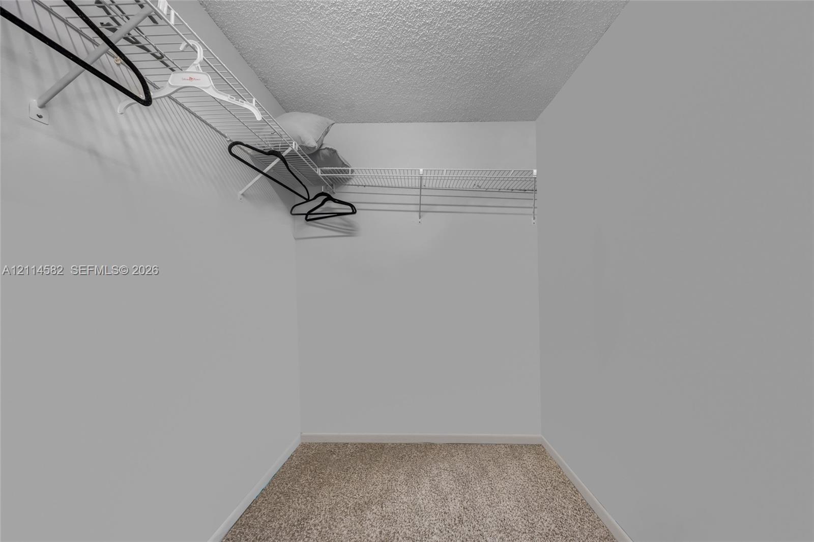Storage closet featuring wall-to-wall carpeting and installed wire shelving