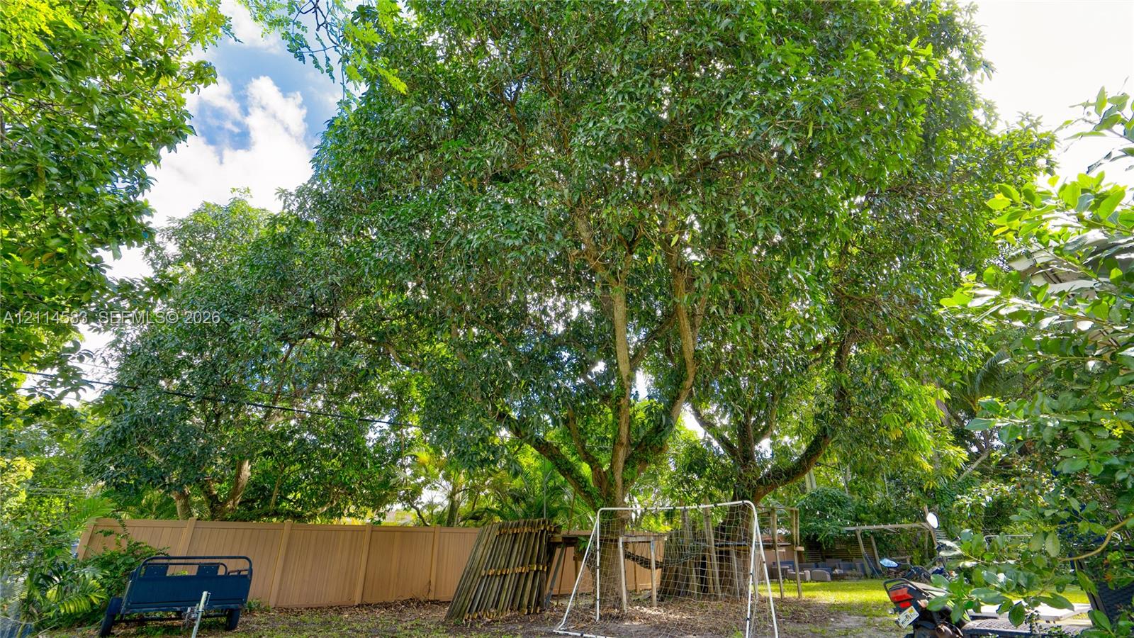 Private outdoor space featuring mature trees and a solid wood-tone privacy fence
