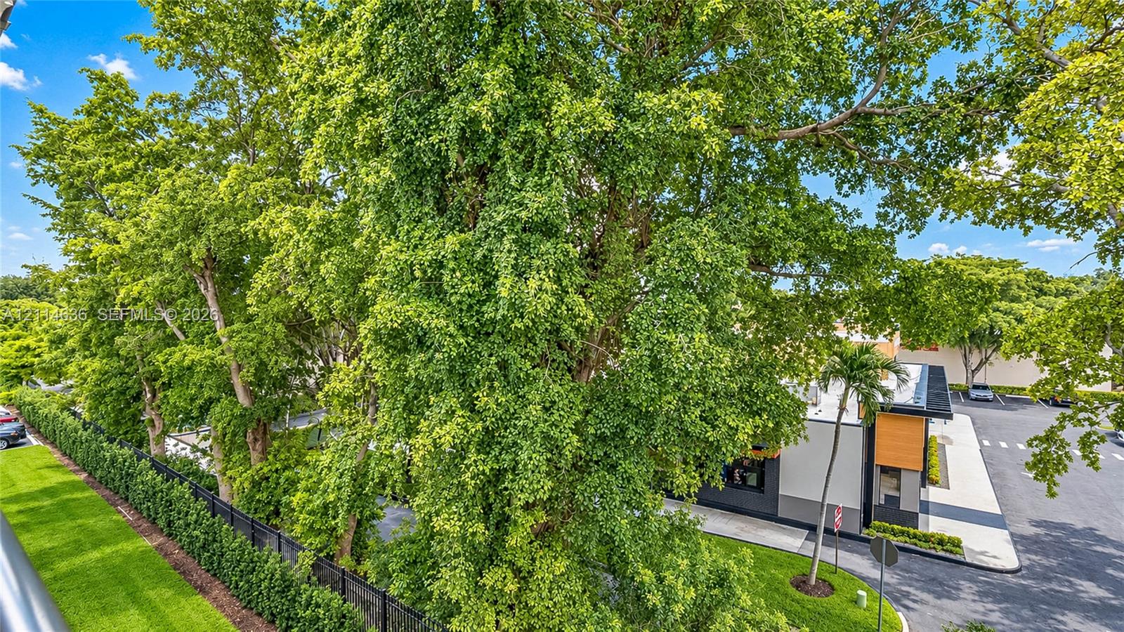 Extensive mature landscaping featuring tall deciduous trees, manicured lawn areas, black metal perimeter fencing, and paved surface parking