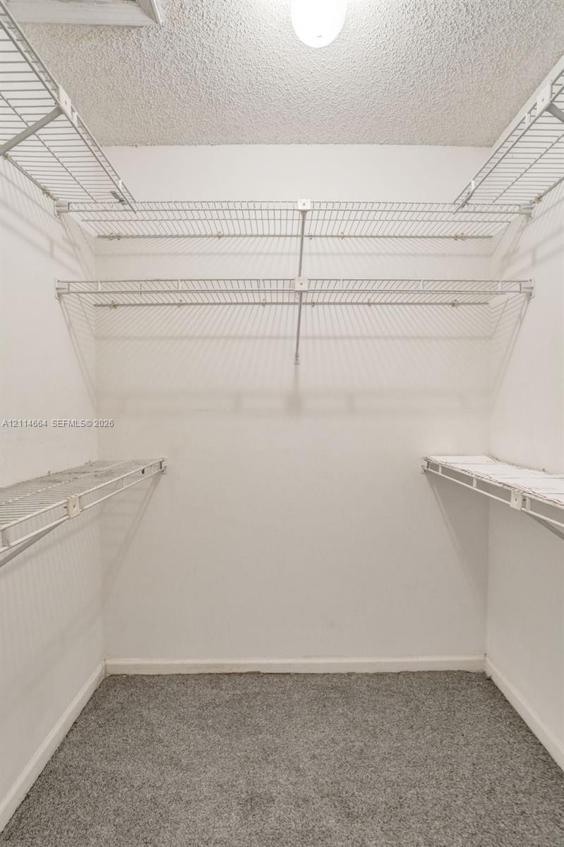 Walk-in storage space featuring tiered wire shelving, neutral carpeting, and a central ceiling-mounted light fixture