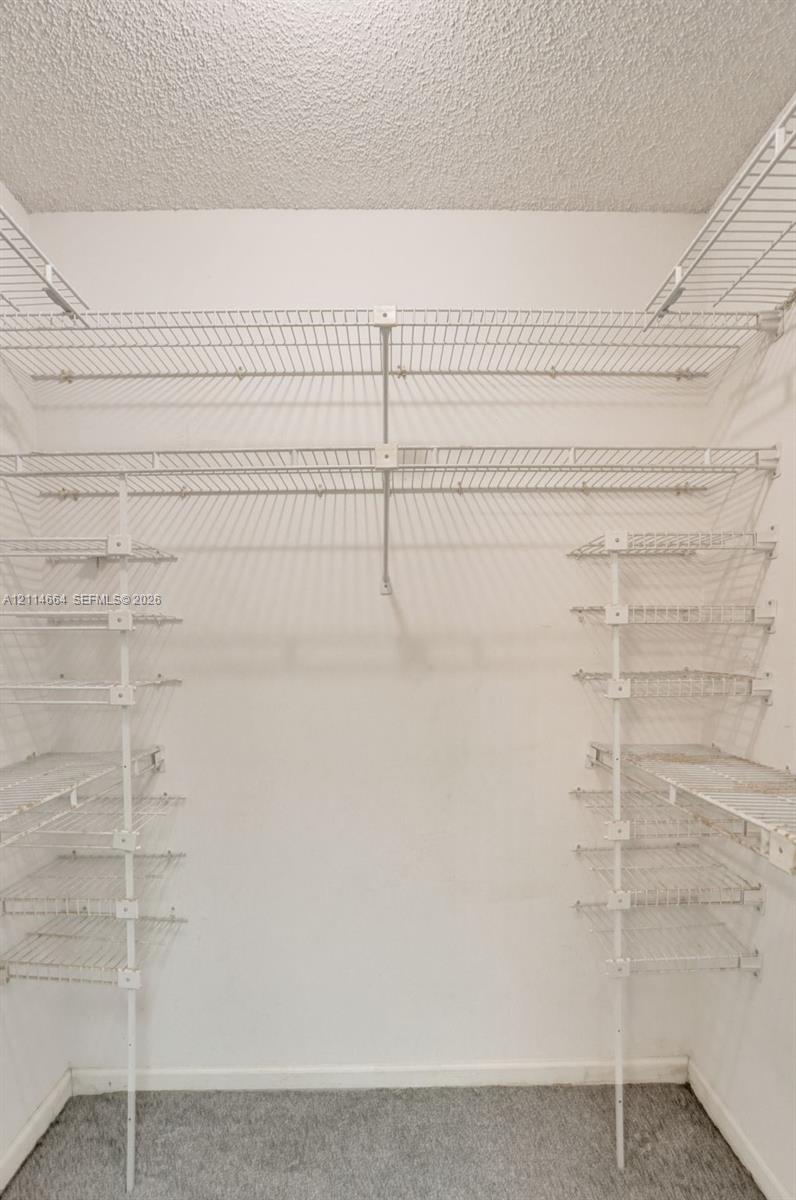 Walk-in storage space featuring multi-level white wire shelving units and wall-to-wall carpeting