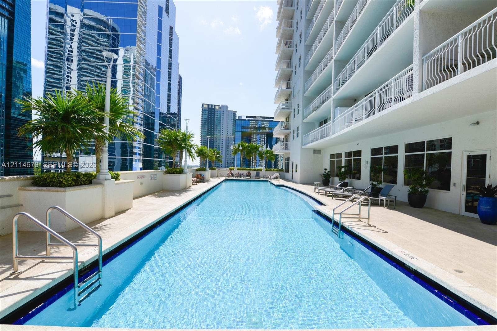 Rectangular swimming pool featuring a tile perimeter, built-in planters with palm trees, and expansive paved decking