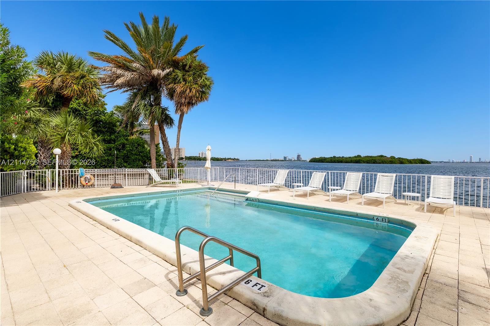 In-ground swimming pool featuring a metal ladder, tile-surround deck, protective perimeter fencing, and mature palm trees