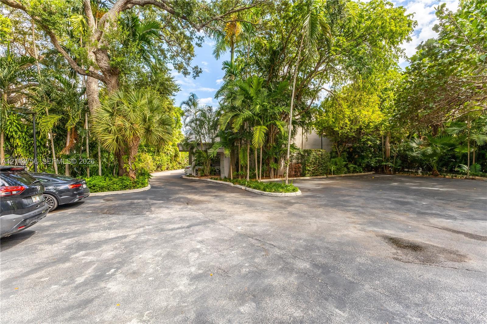 Asphalt parking area featuring mature trees, established palm vegetation, and a covered building entrance