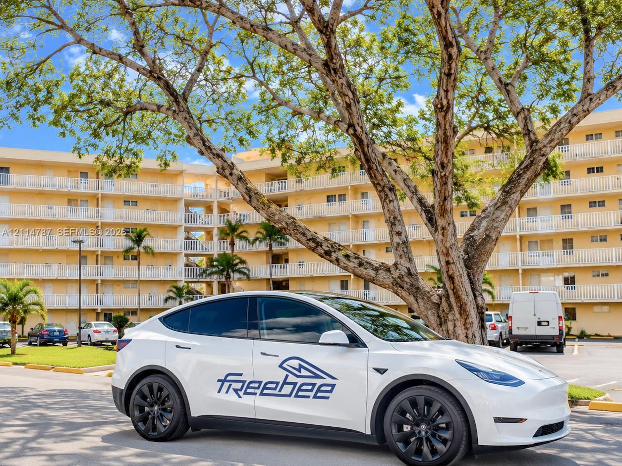Free Freebee in Aventura