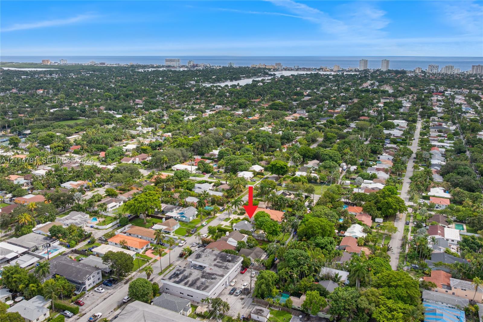 Aerial perspective of residential area featuring mature tree canopy, varied architectural styles, and proximity to the coastline