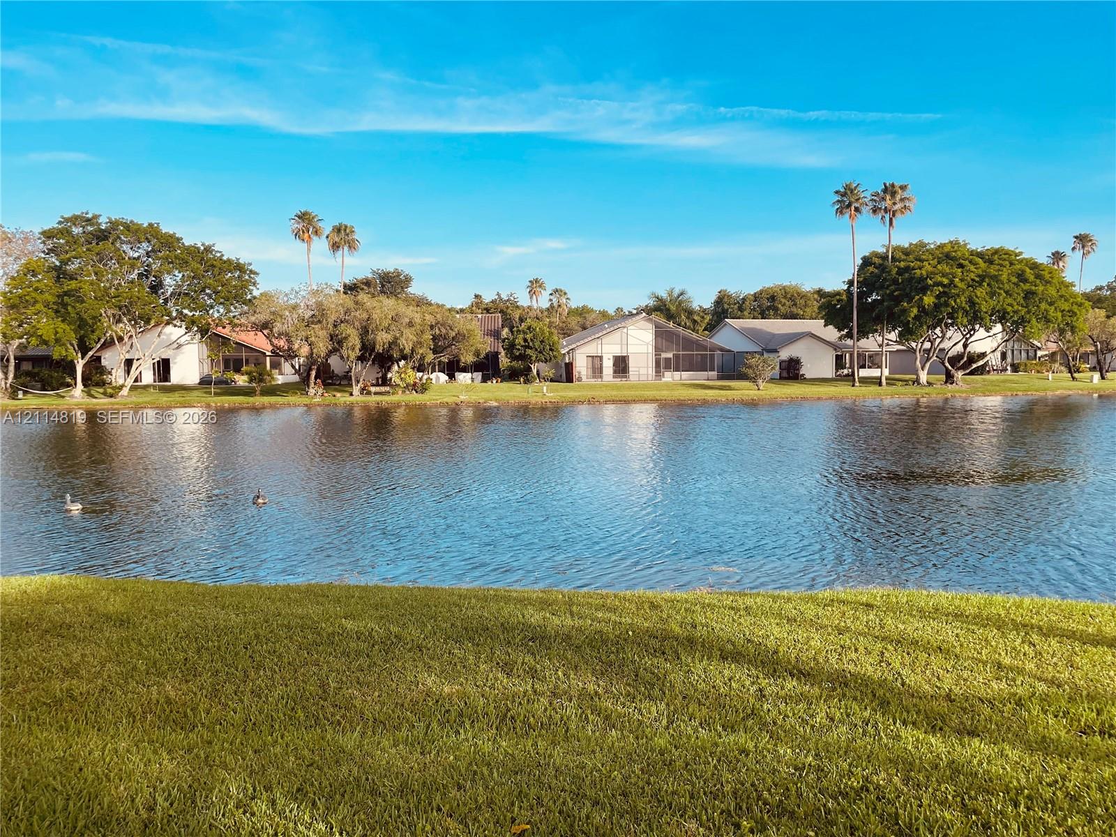 Waterfront property featuring a manicured lawn, mature trees, and palms
