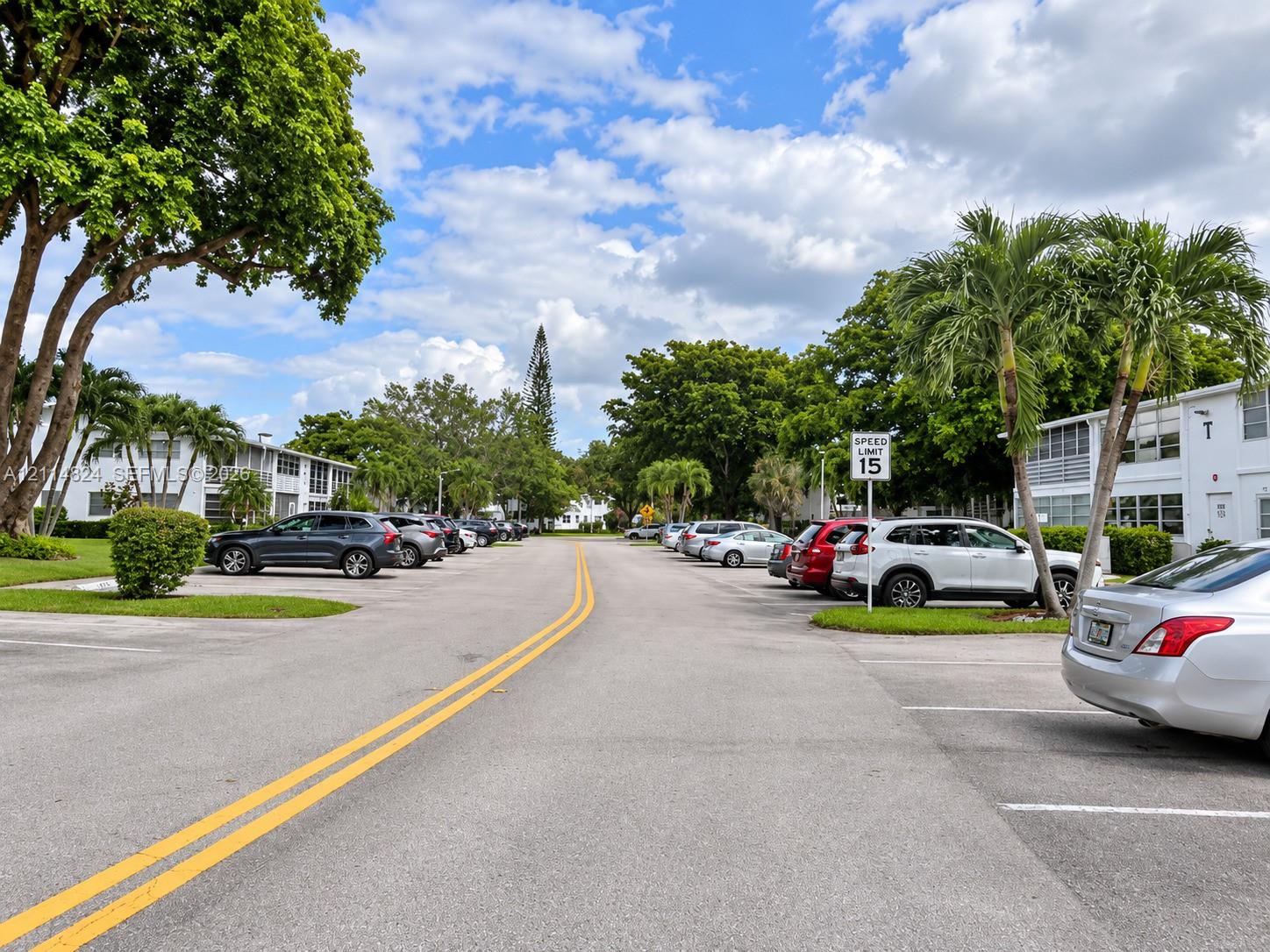 Asphalt parking area featuring designated spaces and mature landscaping with palm trees and shade trees