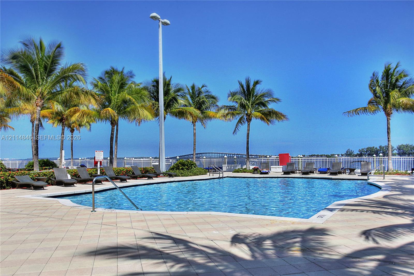 Swimming pool with concrete paver decking, metal perimeter fencing, and mature palm trees