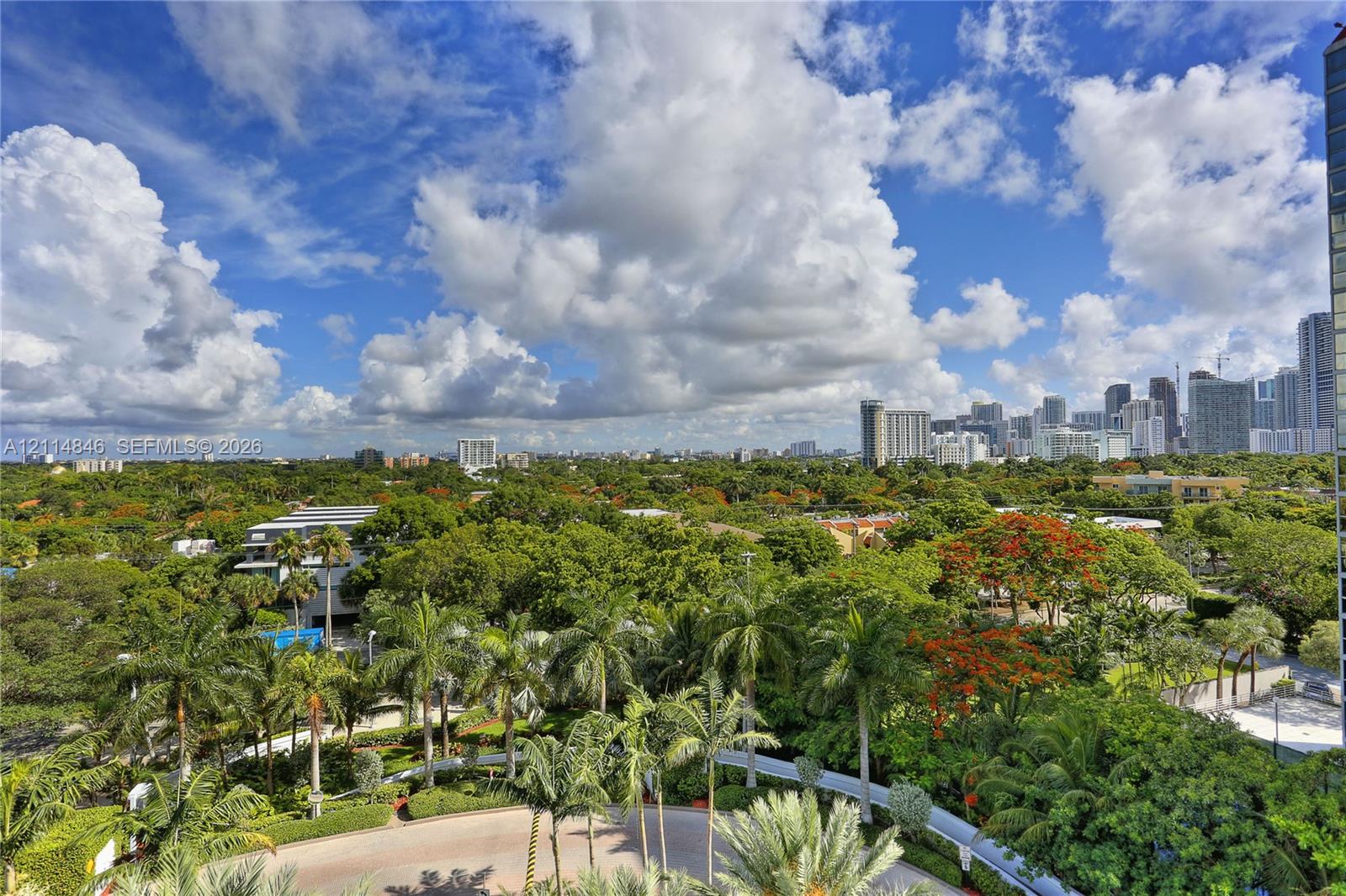 Elevated perspective showcasing expansive city skyline, mature canopy of tropical trees, and paved motor court