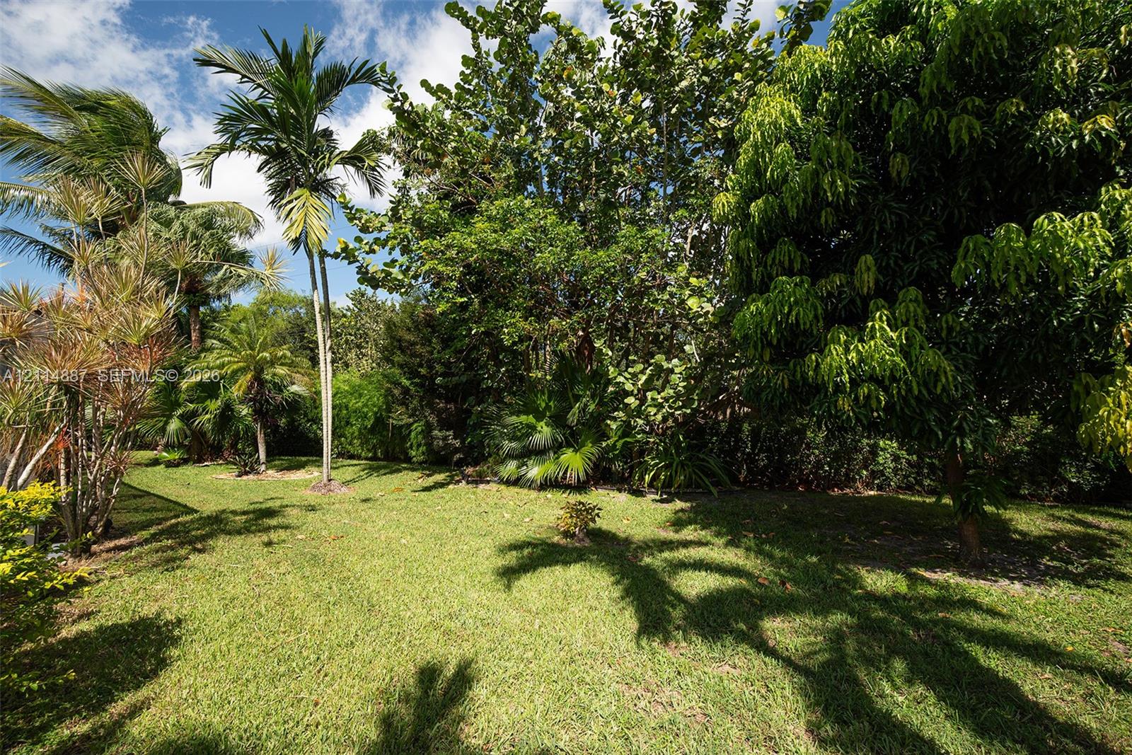 Landscaped backyard featuring expansive grass lawn, mature tropical trees, and dense natural foliage