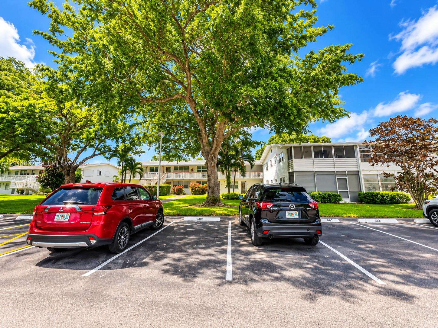 Asphalt surface parking lot featuring designated stall markings and mature shade trees